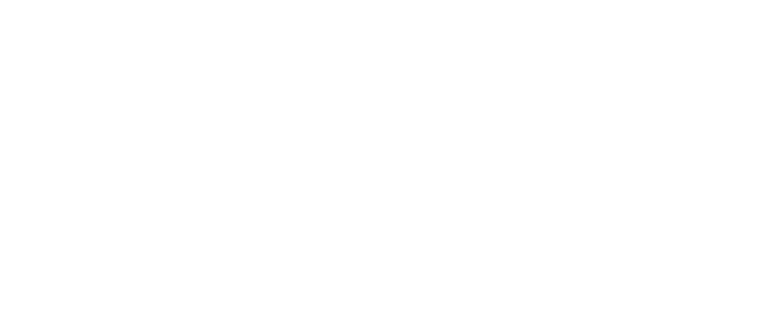 LOGO-SLOT DANA